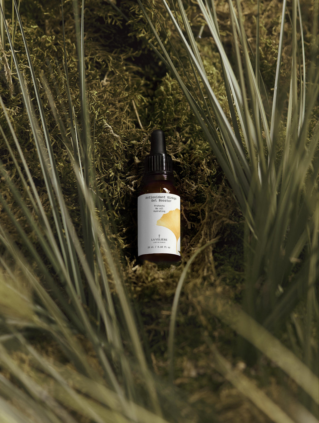 Antioxidant Ginkgo Gel Booster