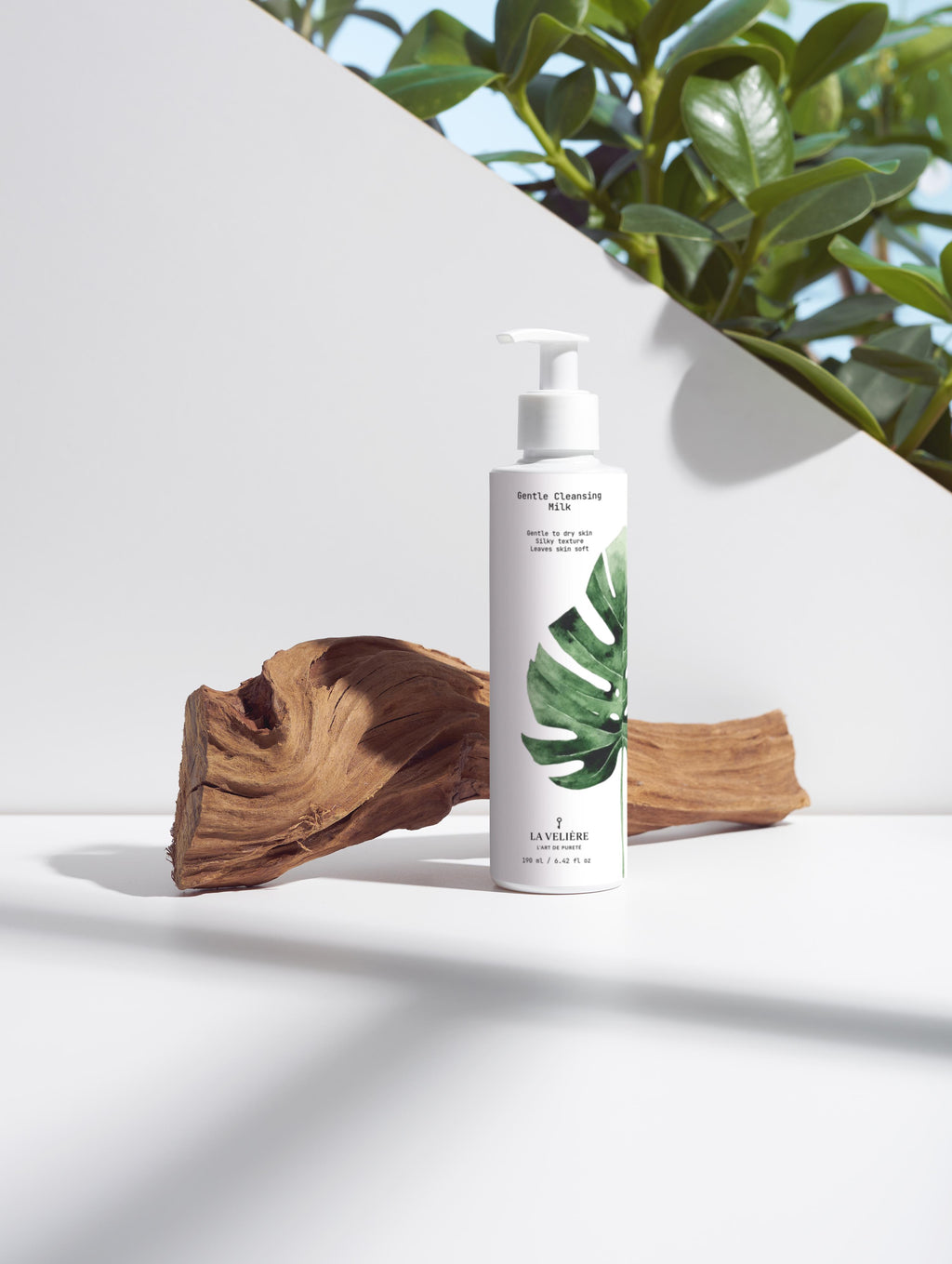 Gentle Cleansing Milk